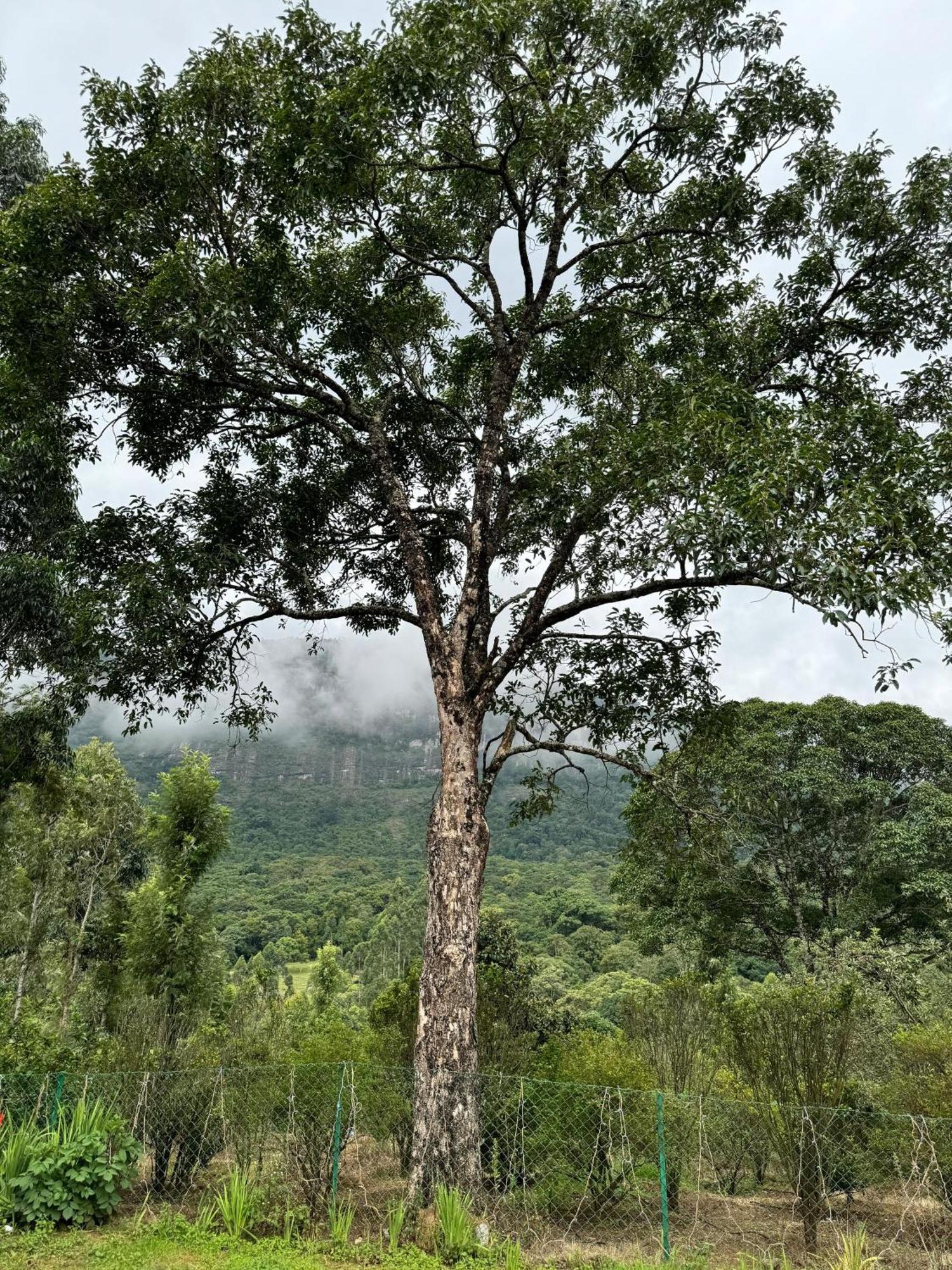 Farm Stay - Apple Valley Kanthalloor 外观 照片